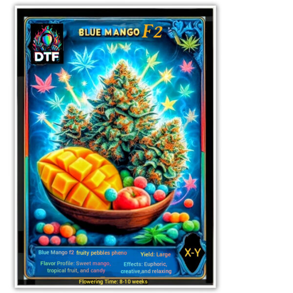 10 regular F2 Blue Mango Seeds