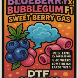 10 reg f1 Blueberry bubblegum