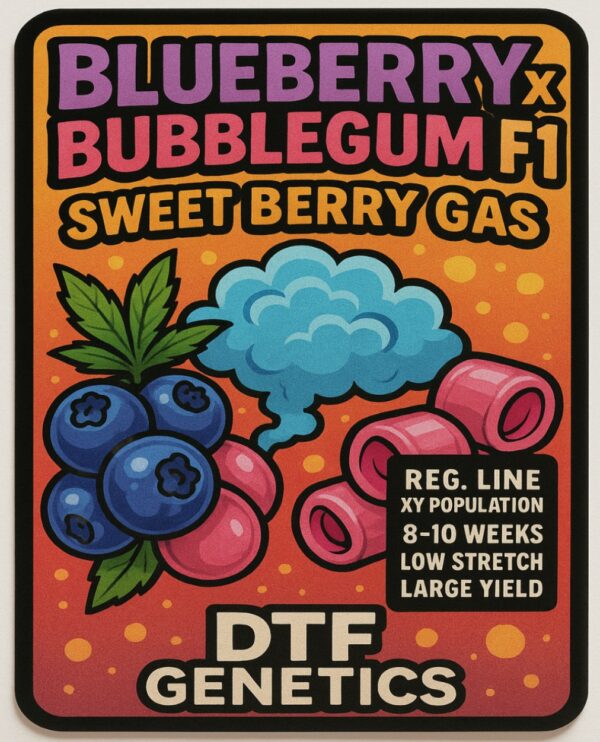 10 reg f1 Blueberry bubblegum