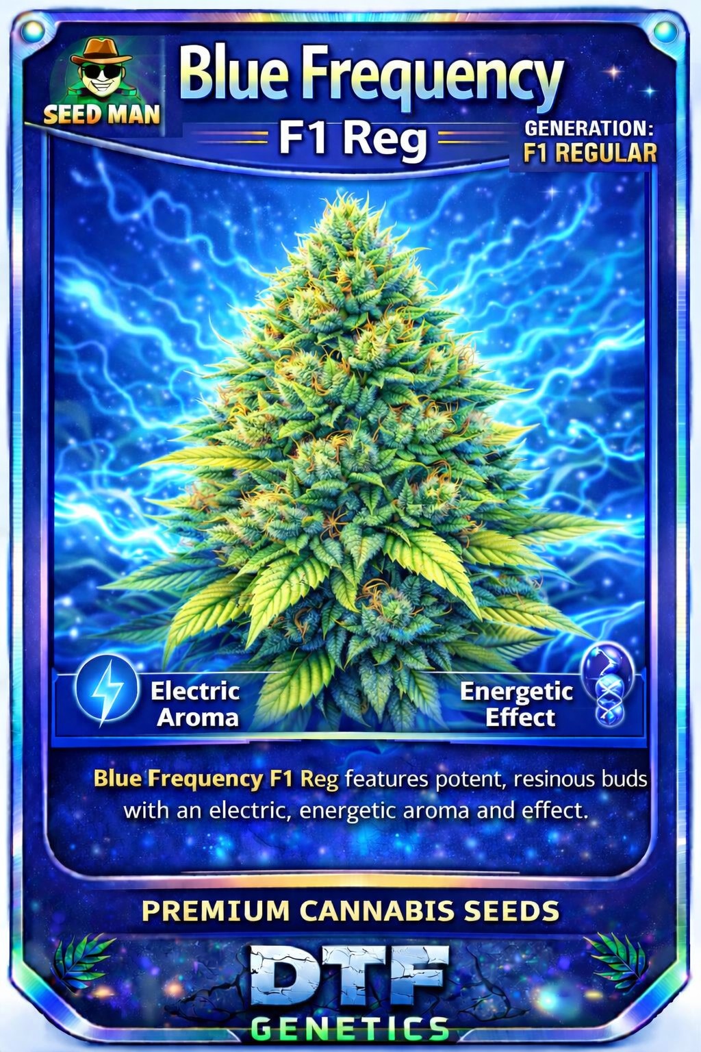 Seeds / Genetics - DTF GENETICS