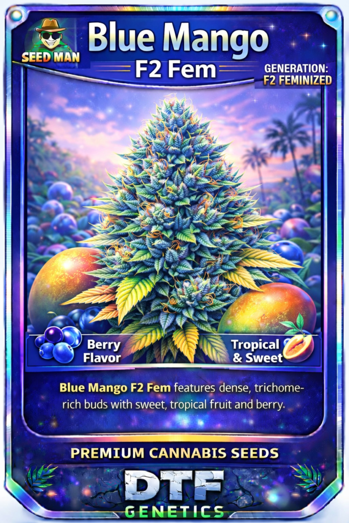 Blue Mango F2 Feminized DTF Genetics strain card