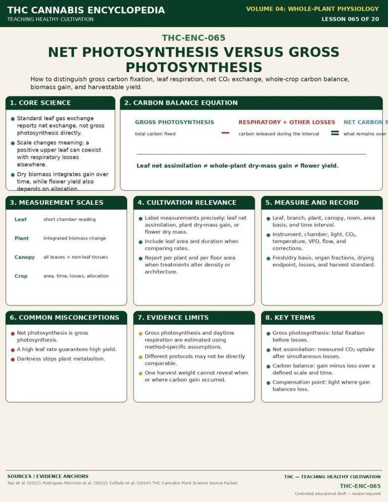 Net Photosynthesis Versus Gross Photosynthesis