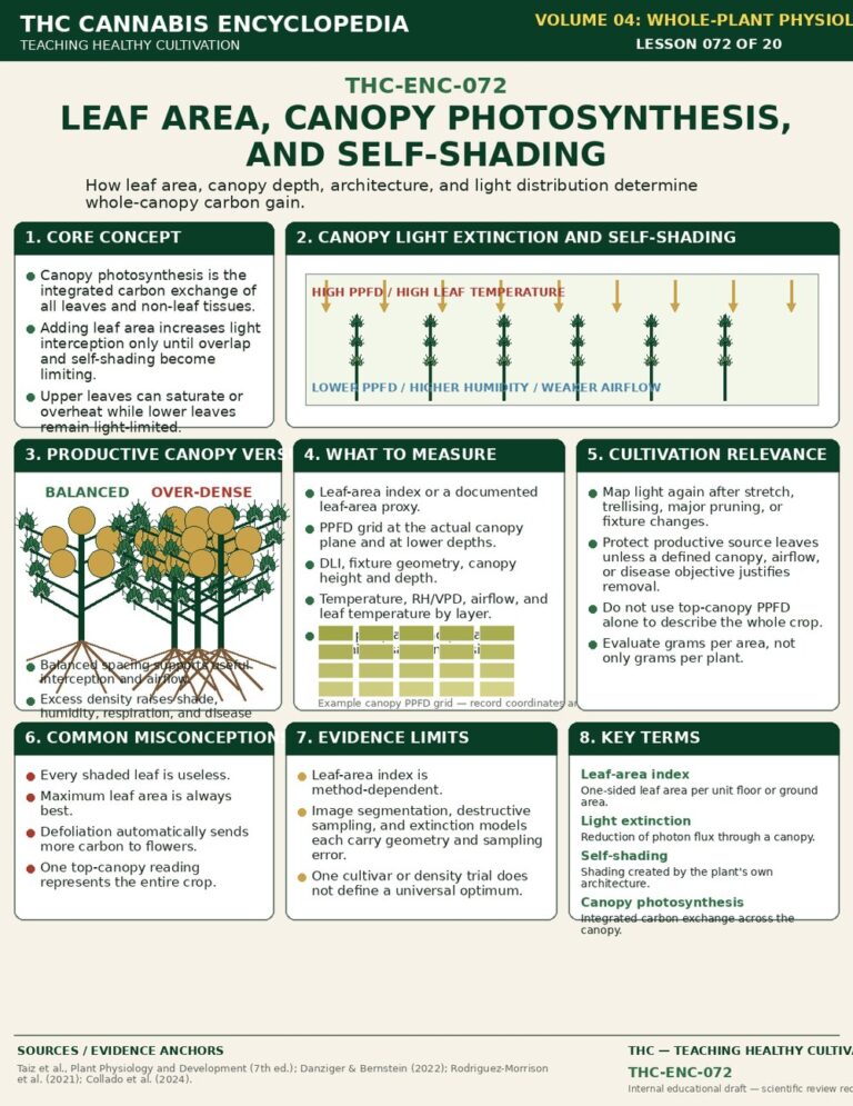 Leaf Area Canopy Photosynthesis and Self Shading