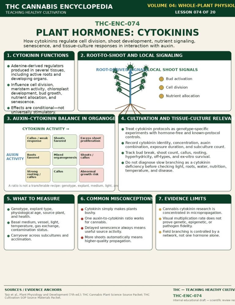 Plant Hormones Cytokinins