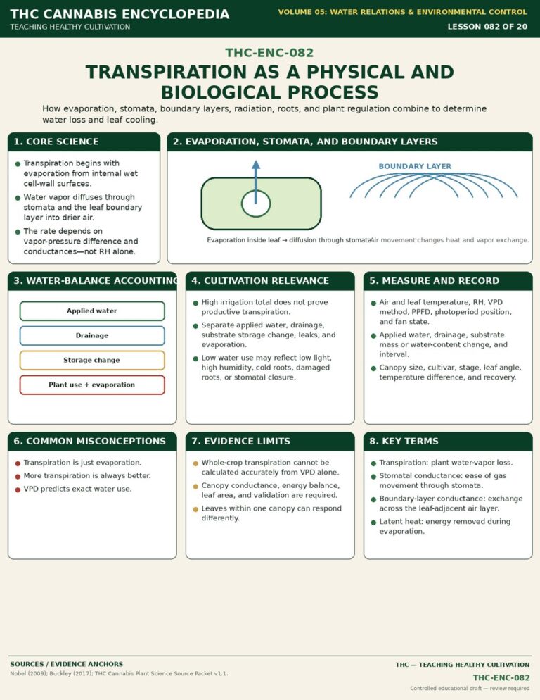 Transpiration as a Physical and Biological Process