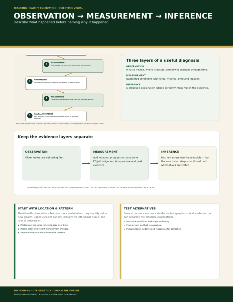 EVID 01 Observation Measurement Inference Full Sheet Infographic