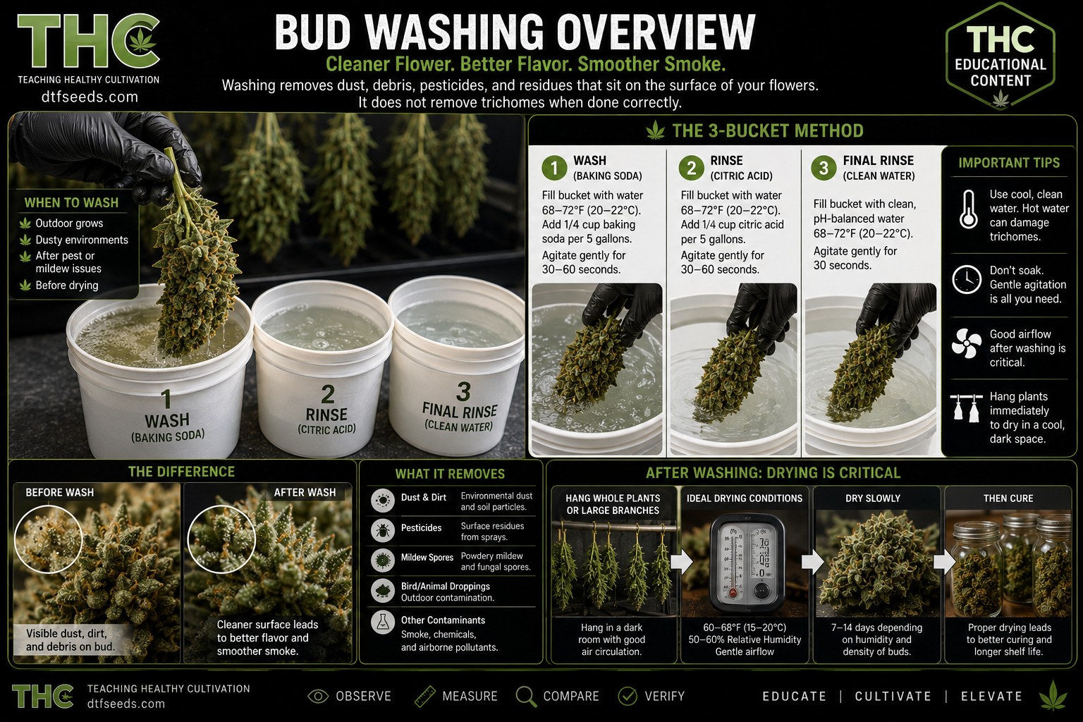 Teaching Healthy Cultivation — HARV 04 bud washing overview
